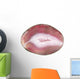 round pink agate geode crystal Wall Decal