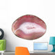 round pink agate geode crystal Wall Decal