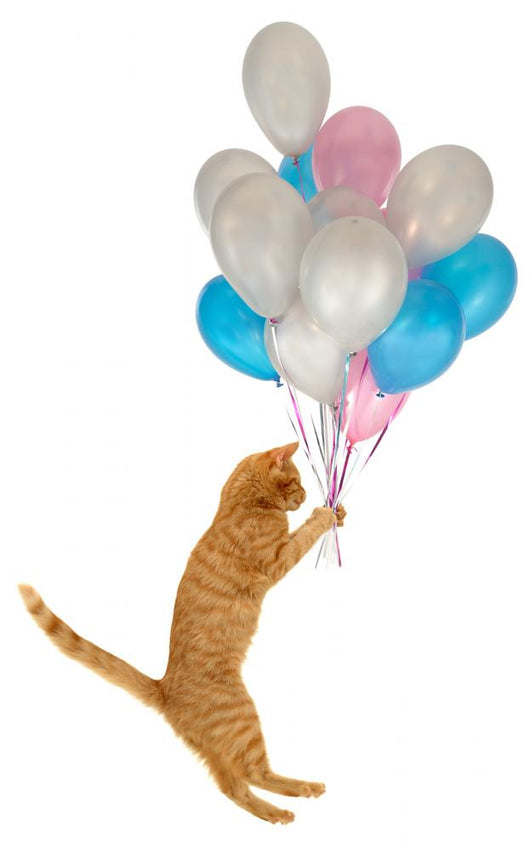 Flying Balloon Cat Wall Decal
