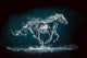 Water Horse Wall Mural