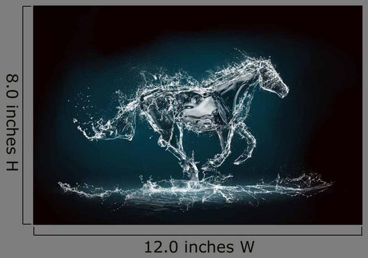 Water Horse Wall Mural
