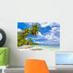 Seychelles Beach Coconut