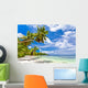 Seychelles Beach Coconut