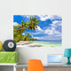 Seychelles Beach Coconut