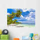 Seychelles Beach Coconut