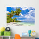 Seychelles Beach Coconut