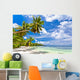 Seychelles Beach Coconut