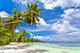 Seychelles Beach Coconut