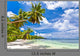 Seychelles Beach Coconut