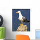 Seagull