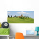 Paesaggio Siena E Dintorni Wall Decal