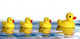 duck family Wall Decal