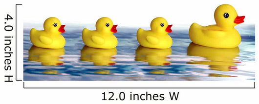 duck family Wall Decal