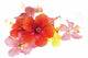 Hibiscus Wall Decal