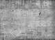 Concrete Wall Mural