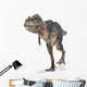 Tarbosaurus Walking