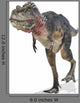 Tarbosaurus Walking