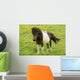 Pony Wall Mural