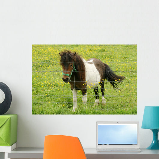 Pony Wall Mural