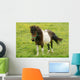 Pony Wall Mural