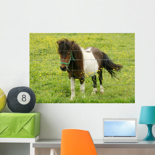 Pony Wall Mural