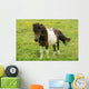 Pony Wall Mural