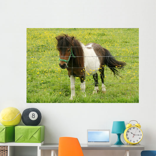 Pony Wall Mural