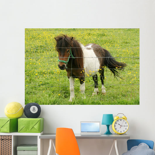 Pony Wall Mural