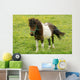 Pony Wall Mural