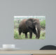 African Elephant Wall Mural