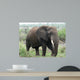 African Elephant Wall Mural
