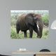 African Elephant Wall Mural