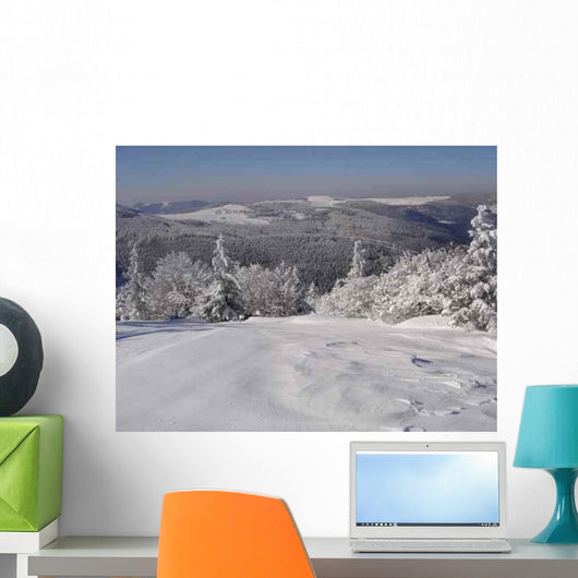 Paysage Enneige Des Vosges Wall Decal
