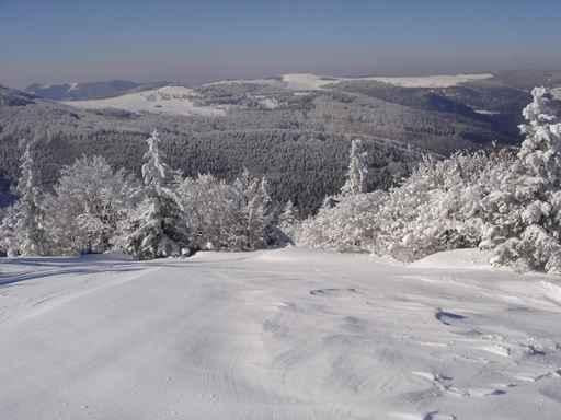 Paysage Enneige Des Vosges Wall Decal