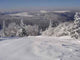 Paysage Enneige Des Vosges Wall Decal