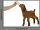 bottle feeding baby goat Wall Decal