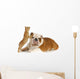 dog and cat playing Wall Decal
