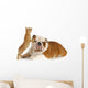dog and cat playing Wall Decal