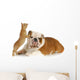 dog and cat playing Wall Decal
