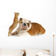dog and cat playing Wall Decal