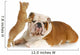 dog and cat playing Wall Decal