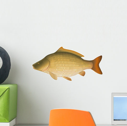 Common Carp (Cyprinus carpio) "Full compatible gradients." Wall Decal