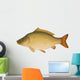 Common Carp (Cyprinus carpio) "Full compatible gradients." Wall Decal