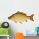 Common Carp (Cyprinus carpio) "Full compatible gradients." Wall Decal