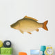 Common Carp (Cyprinus carpio) "Full compatible gradients." Wall Decal