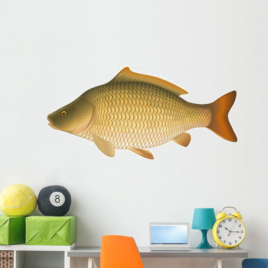 Common Carp (Cyprinus carpio) "Full compatible gradients." Wall Decal
