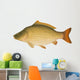 Common Carp (Cyprinus carpio) "Full compatible gradients." Wall Decal