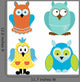 colorful owl birds Wall Decal
