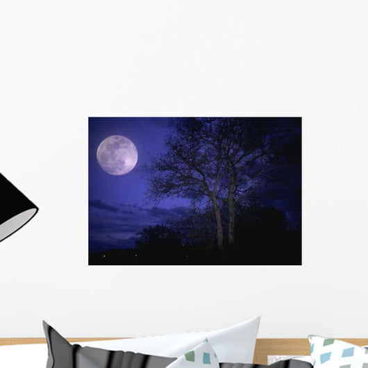 Arbre Wall Decal