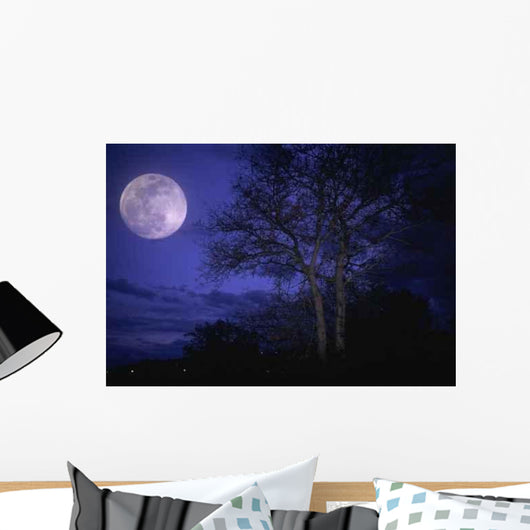 Arbre Wall Decal